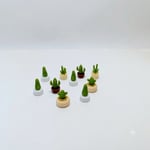 Kaktüs 10 lu  2 cm 