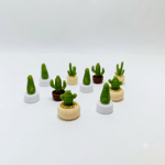 Kaktüs 10 lu  2 cm 