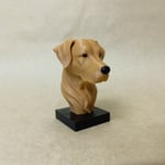 LABRADOR-S.KAHVE BÜST