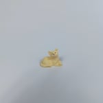 Minyatür Kedi-Teraryum Malzemesi