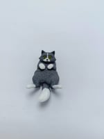 Miskin Gri Kedi  Magnet