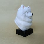 pomeranian - Beyaz- Renkli Büst