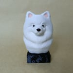pomeranian - Beyaz- Renkli Büst
