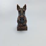 Scottish Terrier - Büst