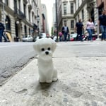 Sevimli Süs Köpeği -Teraryum Malzemesi