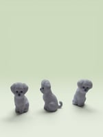 Sevimli Süs Köpeği 50'li -Teraryum Malzemesi