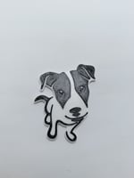 Siyah Beyaz Köpek Magnet