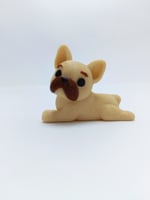 Yavru Pug  Magnet