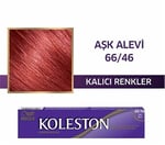 Koleston Tüp Boya Aşk Alevi 66/46