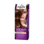 Palette Icc Saç Boyası Kestane 5-68