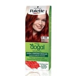 Palette Natural Colors Ateş Kızılı 6-88