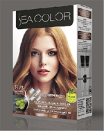 Sea Color Set 8.73 Karamel
