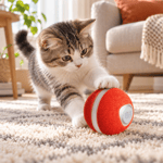 Cheerble Wicked Ball M3 Şarjlı Akıllı İnteraktif Kedi Oyuncağı Kırmızı 4,7 cm