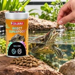 Dajana Insect Superfood Turtle Sticks Böcek Proteinli Su Kaplumbağası Yemi 250 ml 75 gr