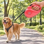 Doggie Master Serisi Otomatik Köpek Gezdirme Tasması 50 kg 5 Metre Pembe