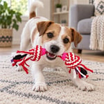 EuroDog Diş İpi Diş Kaşıma Köpek Oyuncağı Pembe Düğme Kırmızı Beyaz 20 cm