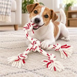 Eurodog Diş İpi Köpek Oyuncağı 30 cm Kırmızı Beyaz