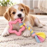 EuroDog Puppy Toys Beşgen Yavru Köpek Diş Kaşıma Oyuncağı 16 cm Pembe