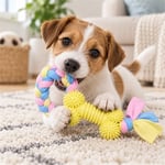 EuroDog Puppy Toys Sarı Kemik Diş Kaşıma Köpek Oyuncağı