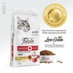 Felicia Kuzu Etli Yetişkin Kedi Maması 12 kg