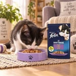 Felix Jöle İçinde Kuzu Etli Yetişkin Yaş Kedi Maması 100 gr