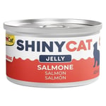 Gimcat Shinycat Jöle İçinde Somonlu Kedi Konservesi 70 gr 24'lü
