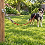 Lion Köpek Çelik Bahçe Bağlama Halatı 6 m