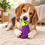Lion Patlıcan Köpek Oyuncağı
