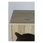 Lotus Bonn Kedi Evi