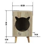Lotus Bonn Kedi Evi