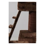 Lotus Doha Tırmalamalı Kedi Evi