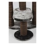 Lotus Roma Tırmalamalı Kedi Evi