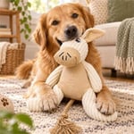 Nunbell Kumaş Köpek Oyuncağı