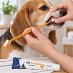 Pet Vogue Köpekler İçin Fırça ve Macun Diş Seti