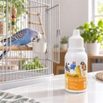 Petguard AST-Support Kuş Vitamini 30 ml