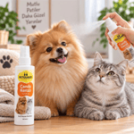 Petguard Candy Kenzo Kedi ve Köpek Parfümü 100 ml