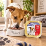 Plaisir Biftekli ve Sebzeli Yetişkin Köpek Ezme Konservesi 150 gr