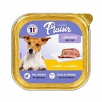 Plaisir Hindili Yetişkin Köpek Ezme Konservesi 150 gr