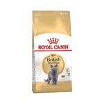 Royal Canin British Shorthair Adult Yetişkin Kedi Maması 10 kg