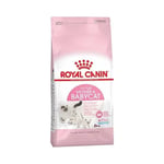 Royal Canin Mother and Babycat Kuru Kedi Maması 2 kg