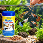 Tetra Guppy Mini Flakes Lepistes ve Canlı Doğuran Balık Yemi 100 ml 30 gr