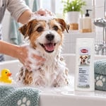 Trixie Köpekler İçin Kepek Karşıtı ve Besleyici Bakım Şampuanı