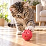 Zampa Zilli Zigzaglı Top Kedi Oyuncağı 4 cm 4'lü Karışık Renkli