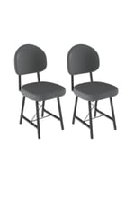 2 Adet Stil  Mutfak ve Salon Sandalyesi 12602