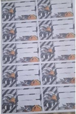 mutlu anılar parti evi karakterli defter etiketi