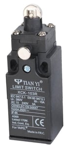 Kilitli Pimli Limit Swicht