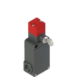 Pizzato FS2898D024 Anahtarlı Emniyet Switch 24V AC/DC IP67