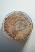 Karakovan Petek Balı 1 Kg