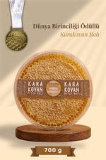 Karakovan Petek Balı 700 g