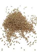 08 Kum 3 mm Kaplama Açık Altın Sarı Boncuk (100 Gr 6000 Adet)